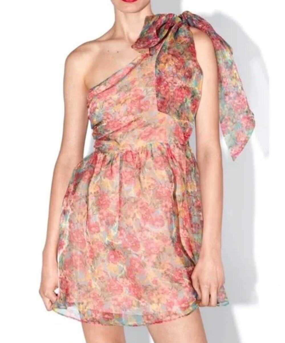 ZARA Floral One Shoulder Dress Watercolor Bow Fit and Flare Chiffon Mini